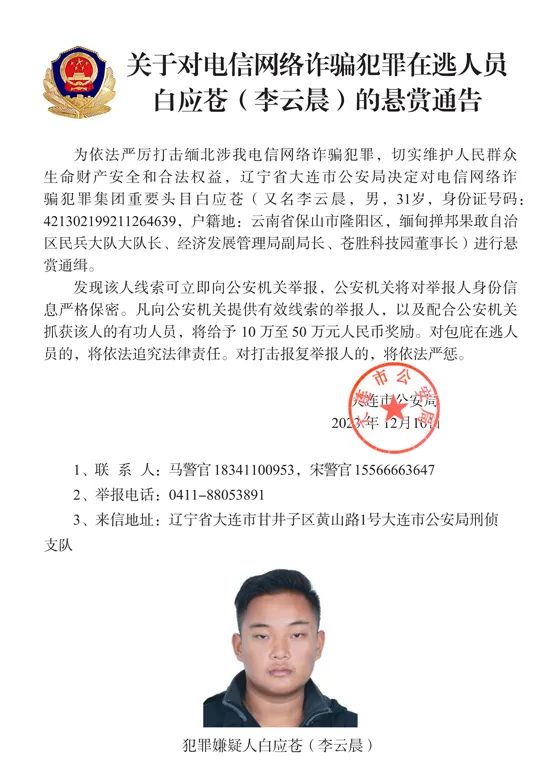 白应苍